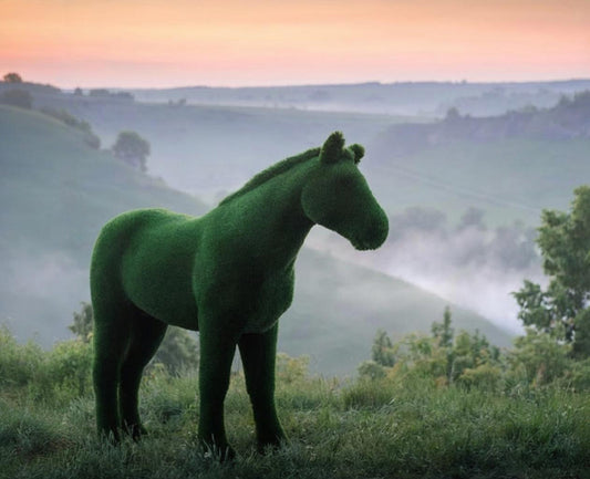 Topiary big horse artificial grass animals