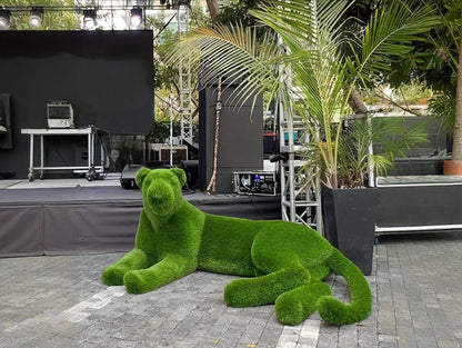 Topiary lying lioness artificial grass animals lioness